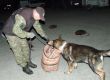 Spolon vcvik psovodov a sluobnch policajnch psov