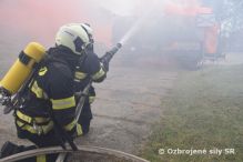 Pozorovate z Vekej Britnie na cvien FIRE RESCUE 2019